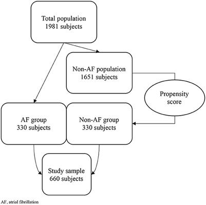 Frailty and comorbidity burden in Atrial Fibrillation